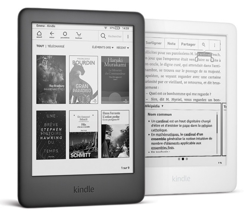 Idée cadeau : pensez à la liseuse Kindle Paperwhite d' à prix  attractif pour Noël